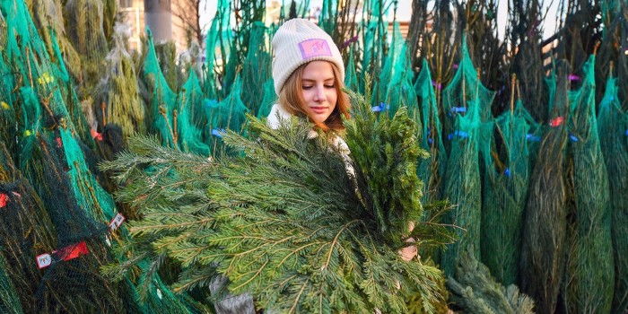 В Теплом Стане открылись елочные базары