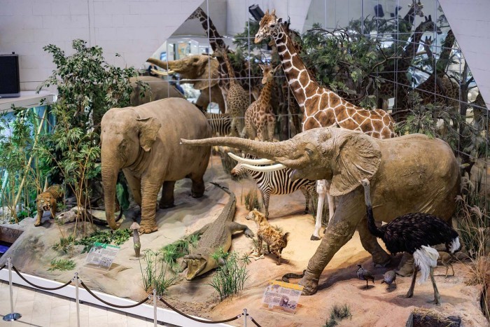 Дарвиновский музей вошёл в топ самых посещаемых музеев Москвы