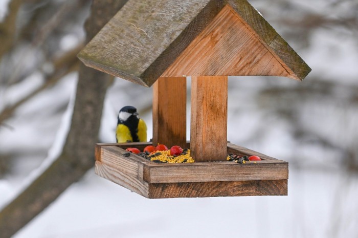 Экоцентр «Битцевский лес» принимает участие в акции «Накорми птиц»