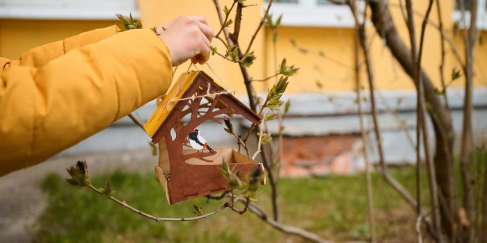 Пункт сбора угощений акции «Накорми птицу» работает на Севастопольском проспекте
