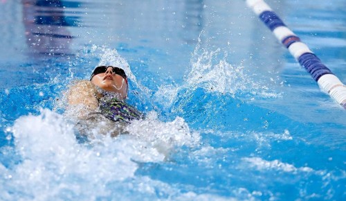 Плавание и картинг: два крупных спортивных старта анонсированы в столице
