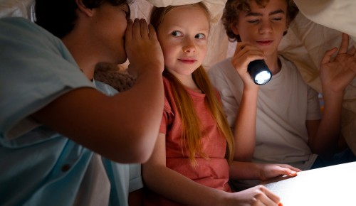 В филиале «Ломоносовский» СЦ «Оберег» прошел квест «Декабрьский детектив»