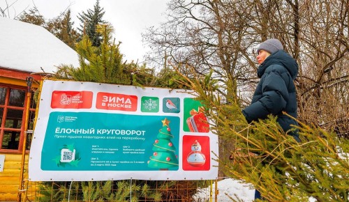 Акция «Елочный круговорот» стартует в ЮЗАО 2 января