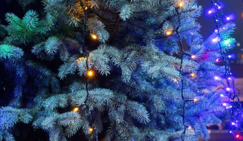 Праздничный семейный мастер-класс проведут 27 декабря в библиотеке №181