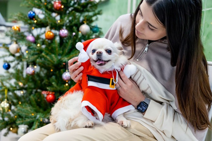 Бутовская ветклиника присоединилась к новогодней акции «Ёлка для питомца»