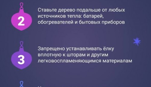 Специалисты рассказывают о правильной установке новогодней ели