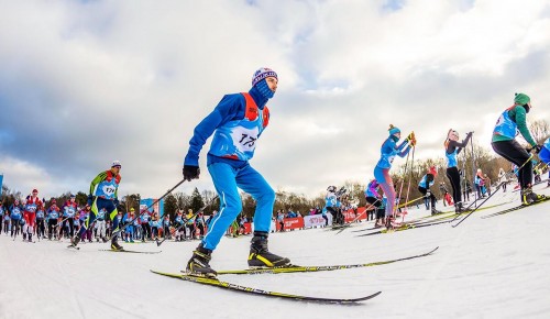 Более 440 зон для занятий лыжными гонками доступно в Москве