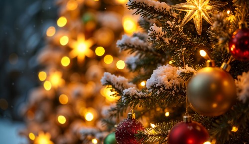 Социальная служба храма Живоначальной Троицы в Конькове совершила предпраздничные визиты в подопечные учреждения