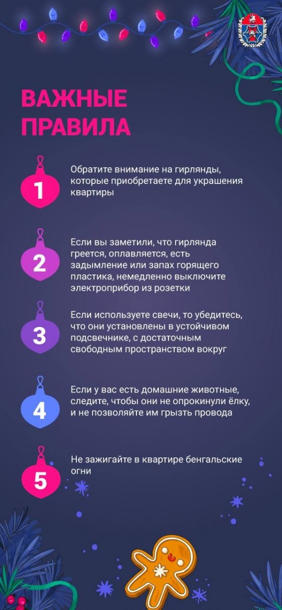 Специалисты рассказали о правилах пожарной безопасности в новогодние праздники