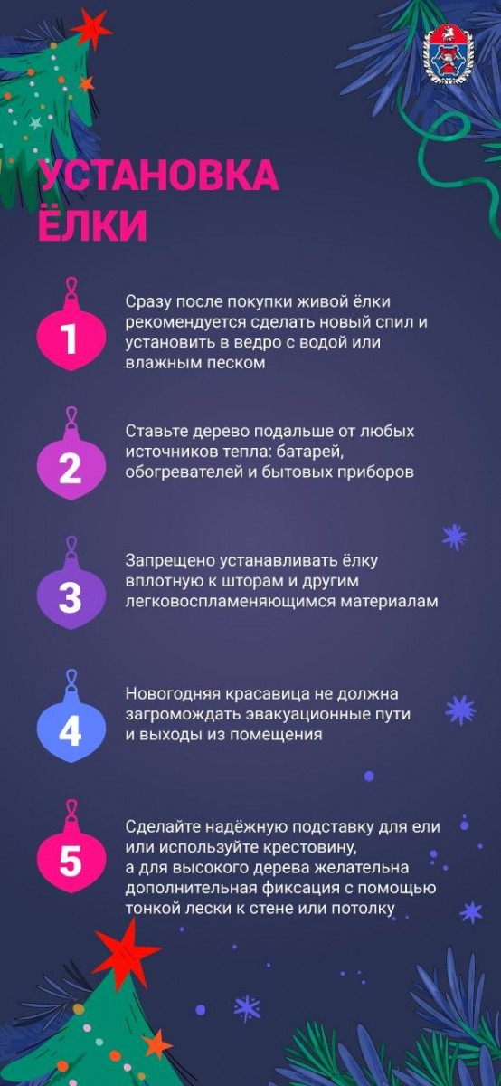 Специалисты рассказывают о правильной установке новогодней ели