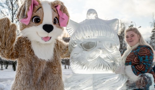 Ледяное царство на Ленинском: где найти лучших ледяных котов и бесплатный каток в ЮЗАО