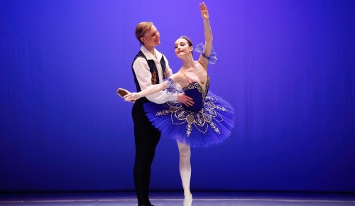 Собянин: Открыт прием заявок на соискание премии в сфере культуры и искусства