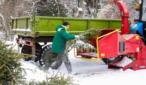 Избавиться от ненужных новогодних украшений и елок жителям Обручевского района помогут экоточки