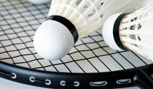 «Долголетов» из Теплого Стана приглашают на занятия по бадминтону