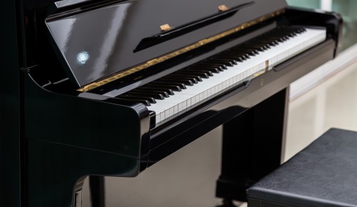 В галерее «Нагорная» пройдет концерт «Музыкальные подарки на старый Новый год»