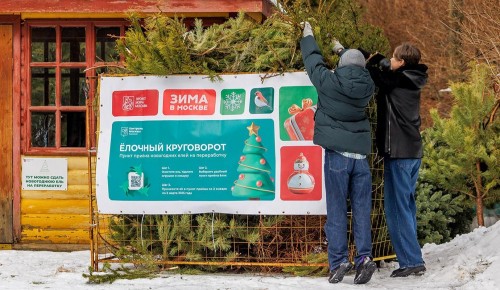 В экоточках Конькова можно утилизировать новогодние деревья, упаковку и электронику