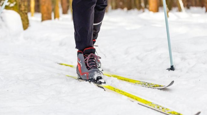 В Битцевском лесу стартуют тренировки по бегу на лыжах