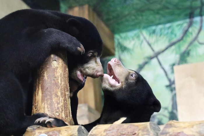 Более 310 животных переехали в Московский зоопарк в 2025 году — Собянин