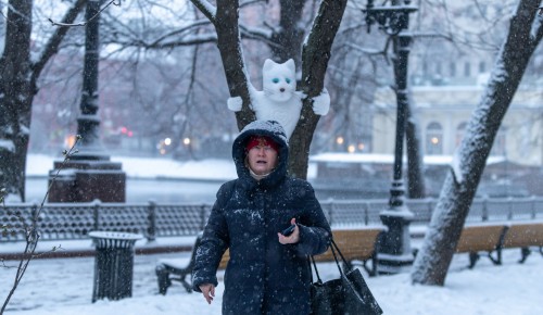 «Потепление» и снегопады: синоптики рассказали о погоде в Москве с 26 января по 1 февраля