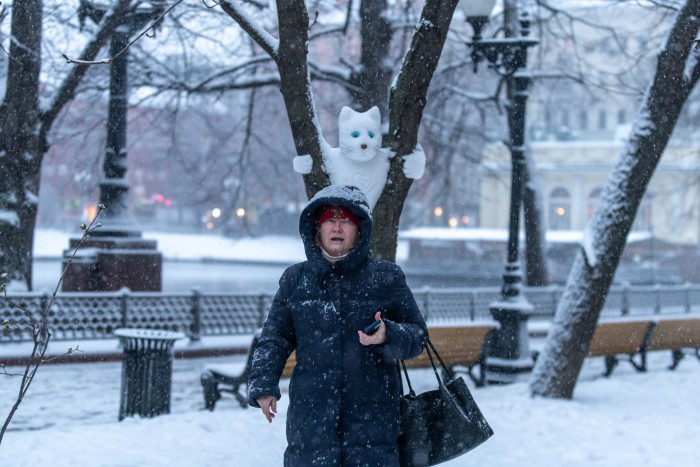 «Потепление» и снегопады: синоптики рассказали о погоде в Москве с 26 января по 1 февраля