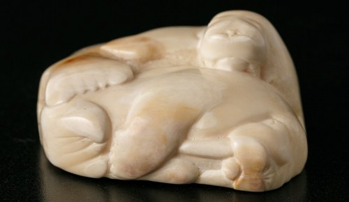 В Дарвиновском музее открылась выставка «Путешествие на Чукотку»