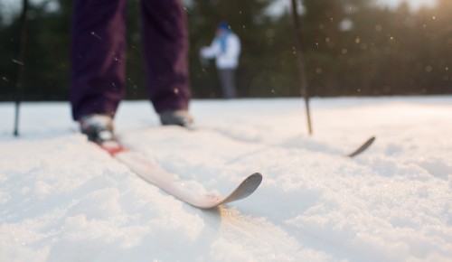 Воспитанники Московского дворца пионеров успешно выступили на первенстве по спортивному ориентированию на лыжах
