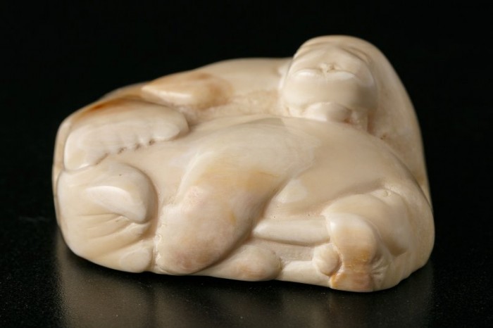 В Дарвиновском музее стартовала выставка «Путешествие на Чукотку»