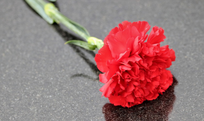 В Северном Бутове состоялись памятные акции, посвященные годовщине снятия блокады Ленинграда