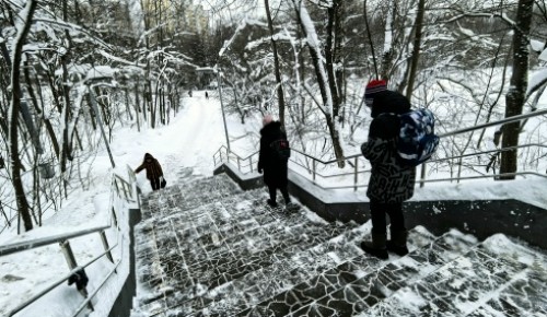 В Теплом Стане более 100 добровольцев помогли расчистить подходы к социальным объектам