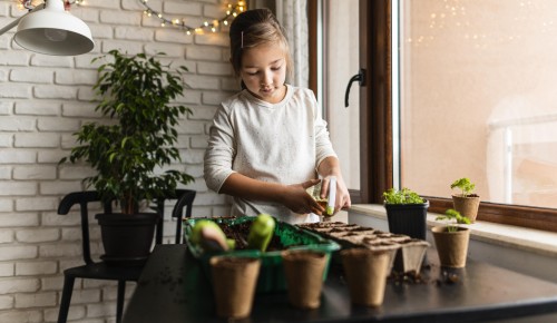 Не склад, а сад: как превратить типовую лоджию в квартире в мини-огород