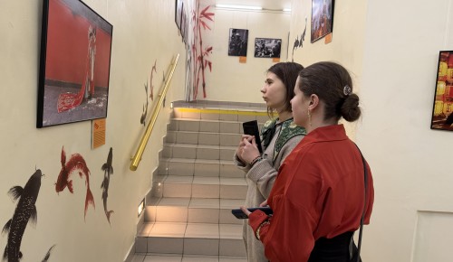 Чайные плантации и небоскребы: в Дарвиновском музее открыли «окно» в Китай