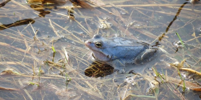 Занятие «Что может рассказать болото?» проведут 3 февраля в экоцентре «Битцевский лес»