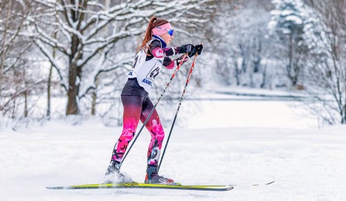 В Битцевском лесу оборудованы три трассы для пеших и лыжных прогулок