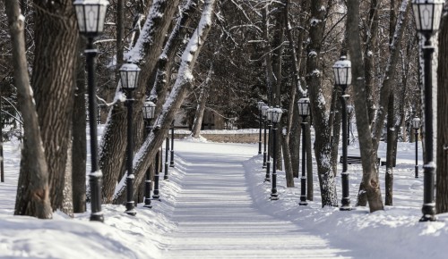 Жителей Ясенева пригласили на обход территории 3 февраля