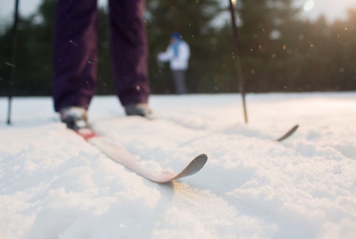 Лыжная трасса в усадьбе Воронцово участвует в опросе на портале «Активный гражданин»