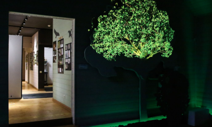 Экоцентр «Лесная сказка» в феврале приглашает школьников на бесплатные познавательные занятия