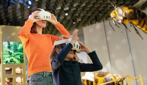 В Дарвиновском музее отметят День науки интерактивной программой