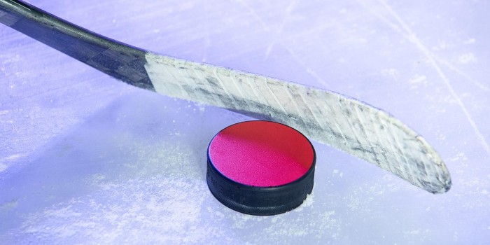 В Ясеневе организуют соревнования по хоккею с шайбой в честь Дня защитника Отечества