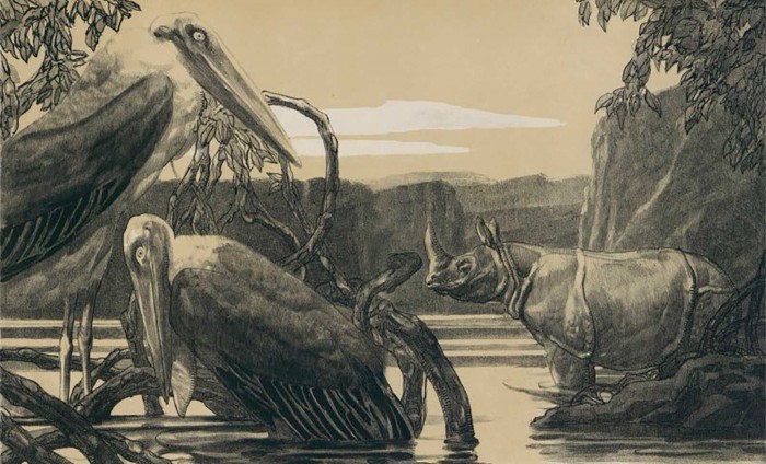 В Дарвиновском музее открылась выставка «Поль Жув. Художник джунглей»