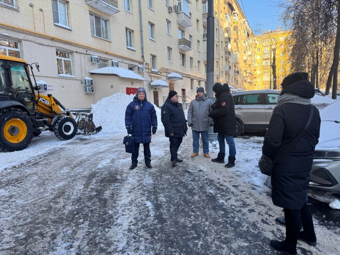 В Ломоносовском районе провели осмотр территории