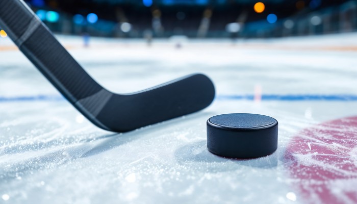 В Южном Бутове в ландшафтном парке пройдет особенный хоккейный матч