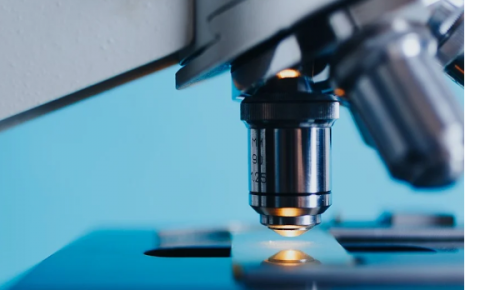 В школе №2114 для детей провели День науки