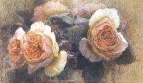 Выставка «Сонеты в цвете» открылась в Дарвиновском музее