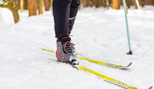 Жители Северного Бутова могут поучаствовать в благотворительном лыжном забеге 21 февраля