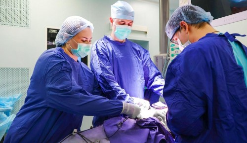 Собянин: Возможности московской службы трансплантологии расширяются