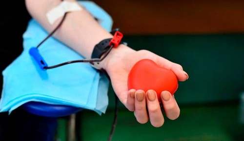 Молодежная палата Обручевского района приглашает на донорскую акцию «Пульс надежды»