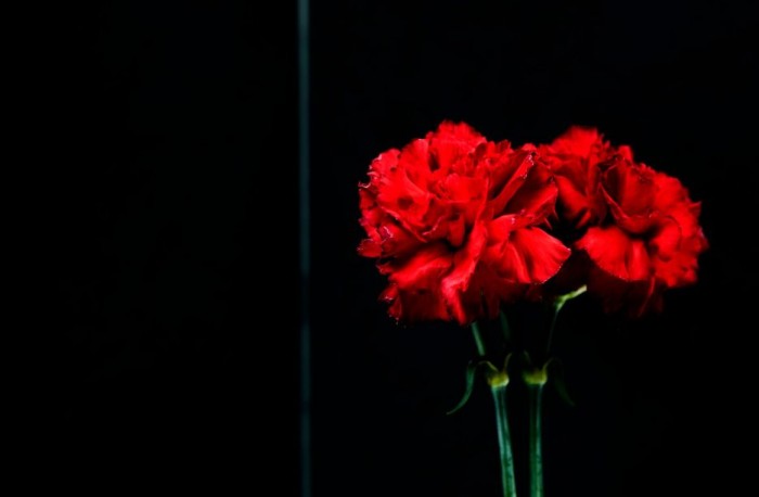 Жителей Котловки приглашают поучаствовать в возложении цветов в честь Дня защитника Отечества