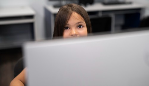 В школе №117 прошло занятие по кибербезопасности