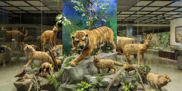 Дарвиновский музей запустит две новые выставки 3 марта