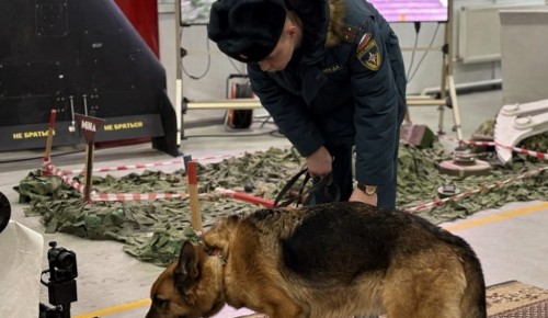 Девятиклассники школы №17 посетили центр спасательных операций особого риска «Лидер»